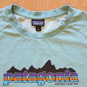 Patagonia sz Large Spell Out Blue long sleeve